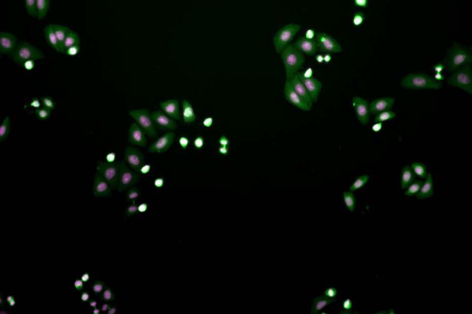 signal-2021-10-08-121553_001