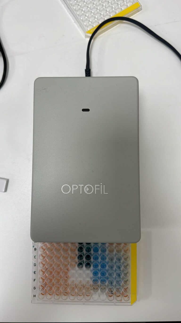 WhatsApp Image 2024-01-16 at 10.54.28