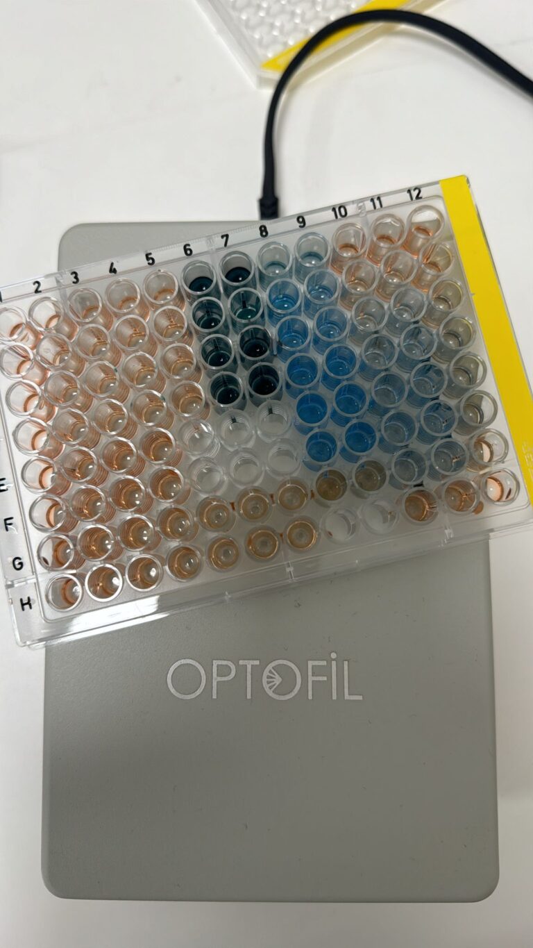 WhatsApp Image 2024-01-16 at 10.54.45